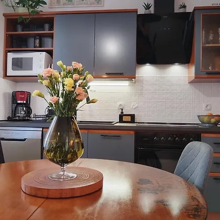 Apartamento Volosko View *